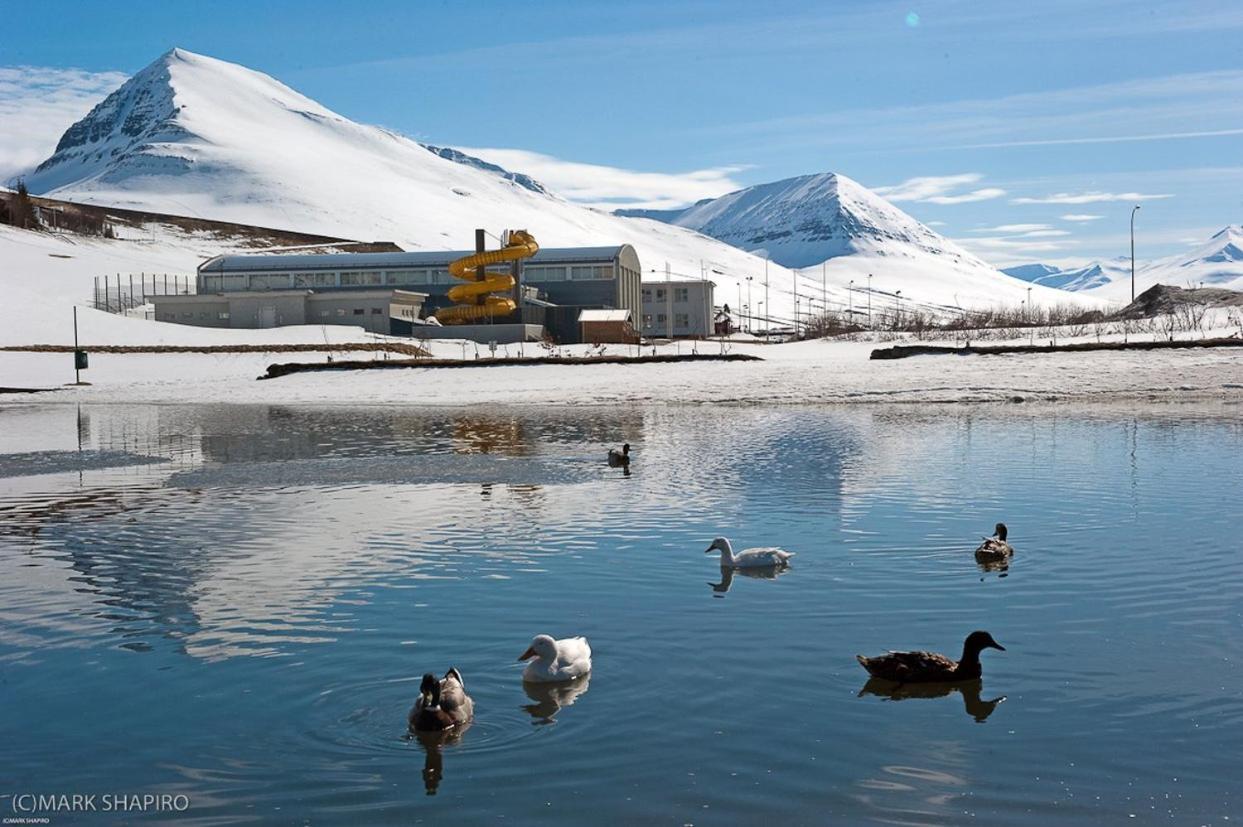 The Northern Comfort Inn Olafsfjordur Eksteriør bilde